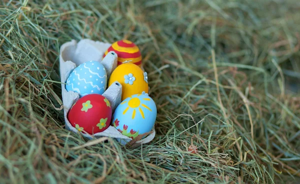 Œufs de Pâques colorés peints dans une boîte — Photo