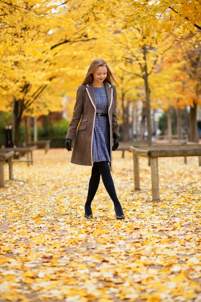 Vacker ung flicka promenader i parken på en höst dag — Stockfoto