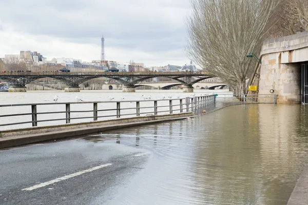 冬のパリの銀行からはセーヌ川です。 — ストック写真