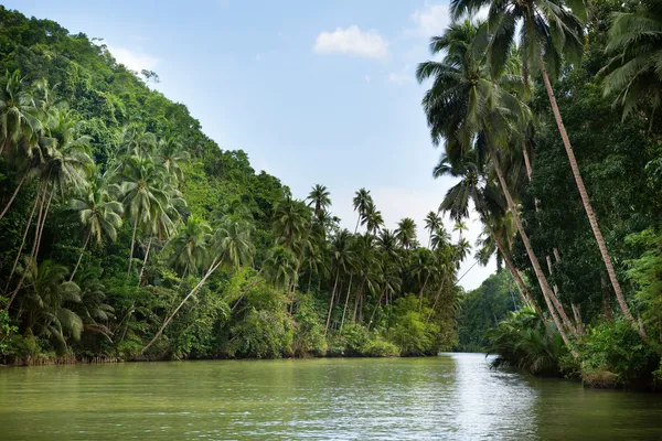 Тропическая река с пальмами на обоих берегах — стоковое фото
