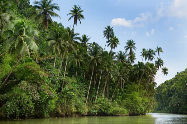 Palmiye ağaçları ile tropikal Nehri — Stok fotoğraf