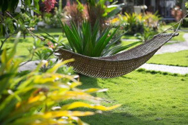 hamak bir tropikal tatil