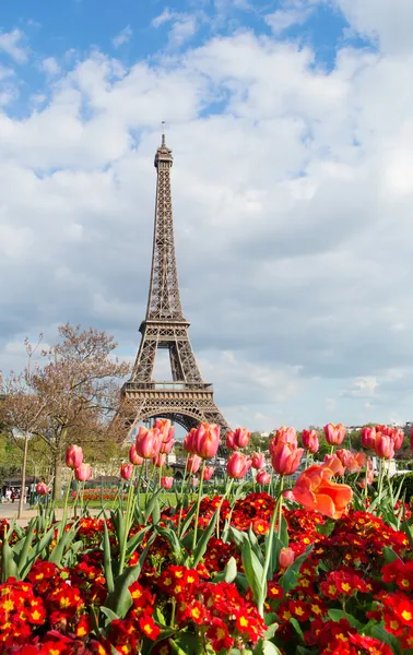 Вид на Эйфелеву башню с красивыми тюльпанами — стоковое фото
