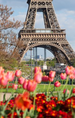 Paris'teki ilkbahar. Eyfel Kulesi ve laleler
