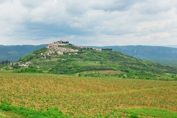 Motovun, croatia kasabadan görünümünü — Stok fotoğraf