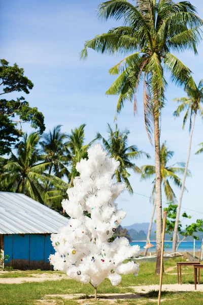 Boże Narodzenie tropikalny — Zdjęcie stockowe