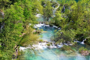 plitvice milli park'ın güzel Cascade'lerde