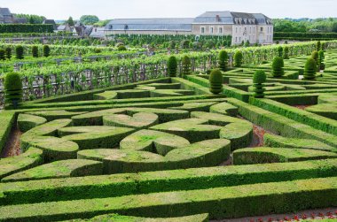 villandry Kalesi'nde Budama sanatı