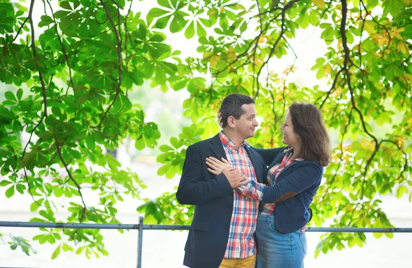 Par kramas under ett kastanjeträd — Stockfoto