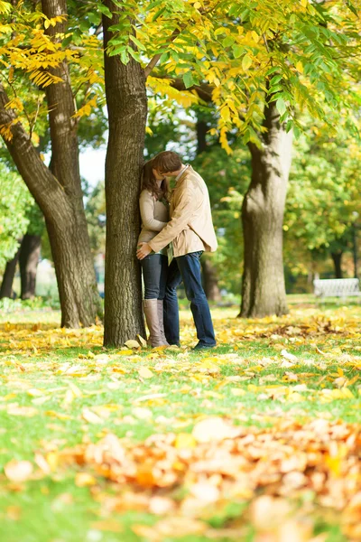 Paar zoenen in park op een daling dag — Stockfoto