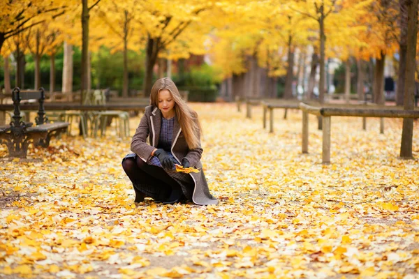 Schönes Mädchen sammelt Herbstblätter im Park — Stockfoto