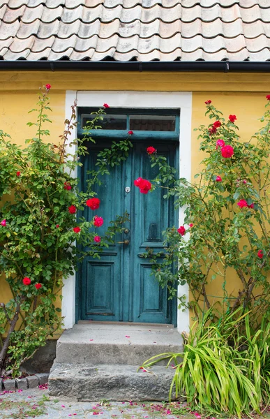 Door of a house — Stock Photo, Image