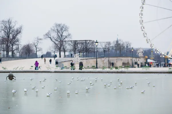 Día frío de invierno en París — Foto de Stock