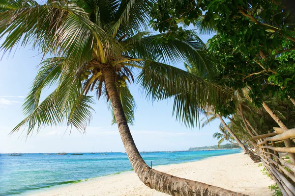 Perfekta vita stranden — Stockfoto