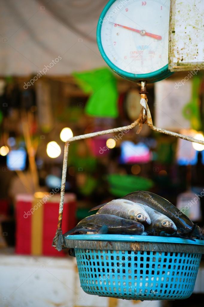 Fish on weigh scales Stock Photo by ©encrier 32360139