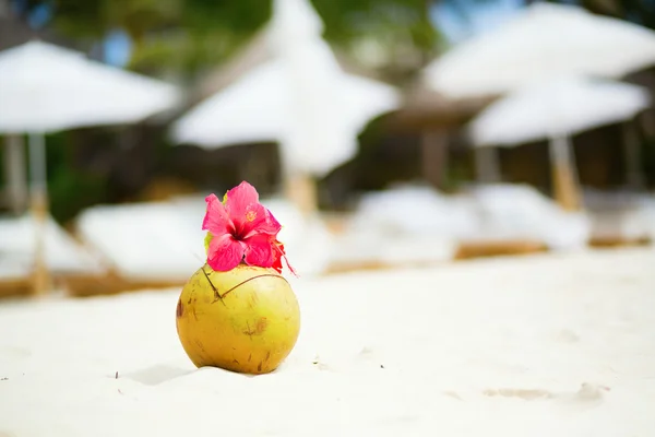 Kokos met drinken op strand — Stockfoto