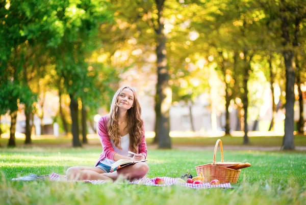 Meisje met een picknick — Stockfoto