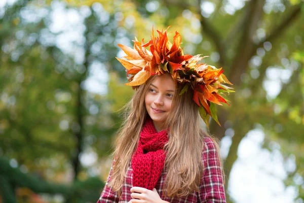 A szép lány a színes őszi koszorú — Stock Fotó