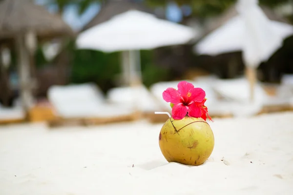 Coconut with drinking straw on tropical beach — Stock Photo, Image