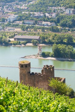 ehrenfels Kalesi yakınındaki rudesheim am rhein, Almanya
