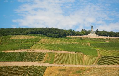 üzüm bağları ve rudesheim germania Anıtı