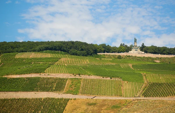 Vineyards and Germania monument in Rudesheim — Stock Photo, Image