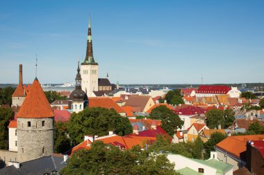 eski Tallinn şehir manzaralı görünüm