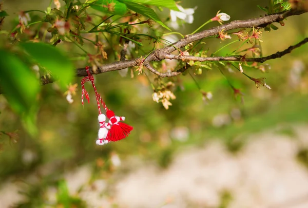 Martirizantes, símbolos do início da primavera — Fotografia de Stock