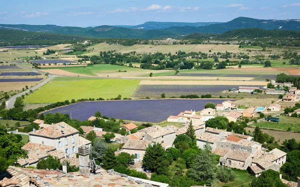 Veduta aerea dei campi di lavanda in Francia — Foto Stock