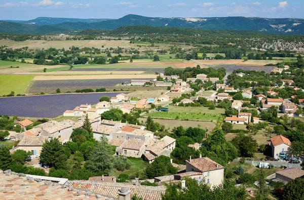 Aerial view of lavender fields in France — Stock Photo, Image