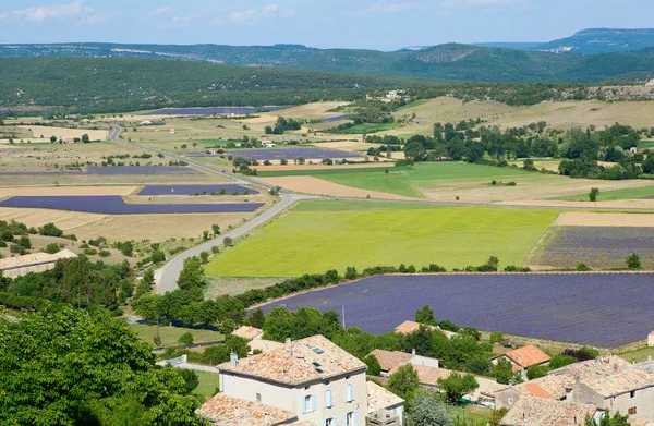 Aerial view of lavender fields in France — Stock Photo, Image