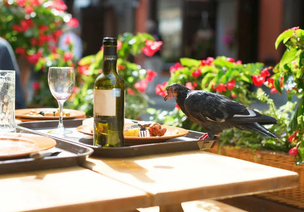 Oiseau sur une table, mangeant les restes des assiettes — Photo