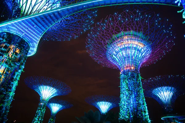 The Supertree at Gardens by the Bay by night — Stock Photo, Image