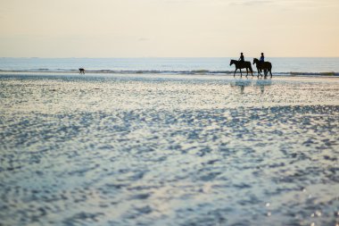 atları Deauville, Fransa bir çift çift