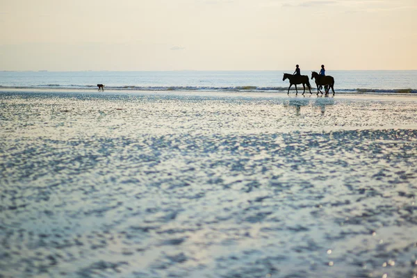 Пара на лошадях в Довиле, Франция — стоковое фото