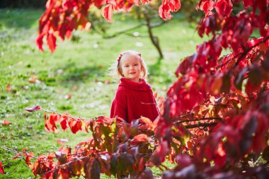 Sonbahar parkında oynayan sevimli küçük kız. Mutlu çocuk, parlak kırmızı yapraklarla güz gününün tadını çıkarıyor. Çocuklar için açık hava etkinlikleri