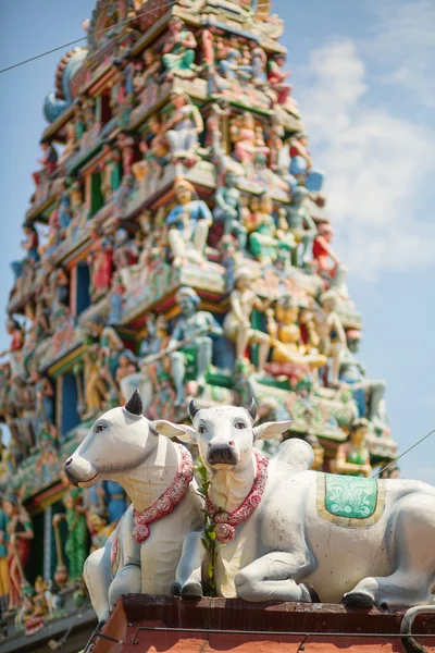 Λεπτομέρειες του μια ινδική ναό στη Σιγκαπούρη — Φωτογραφία Αρχείου