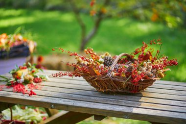 Piknik masası için sonbahar dekorasyonu - renkli yapraklar ve böğürtlenlerle dolu sepet