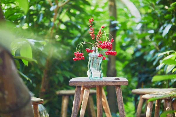 Decoração Outono Para Mesa Piquenique Vaso Com Folhas Coloridas Bagas — Fotografia de Stock