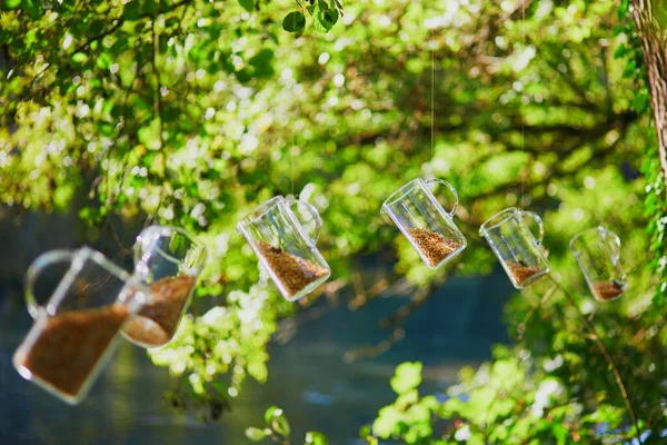 Several Glass Pitchers Half Filled Grains Hanging Tree Beautiful Garden — Stock Photo, Image