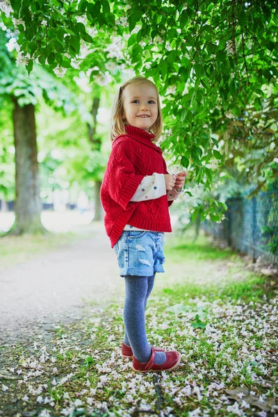 Приваблива Маленька Дівчинка Паризькому Парку Навесні Або Восени Діяльність Вулиці — стокове фото