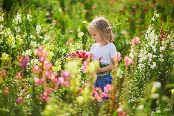 Menina Adorável Escolhendo Belas Flores Antirrrhinum Fazenda Atividades Verão Livre — Fotografia de Stock