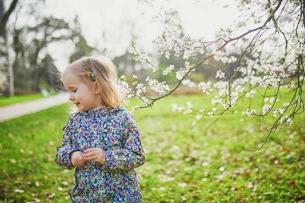 Очаровательная Маленькая Девочка Наслаждается Прекрасным Солнечным Весенним Днем Возле Яблони — стоковое фото