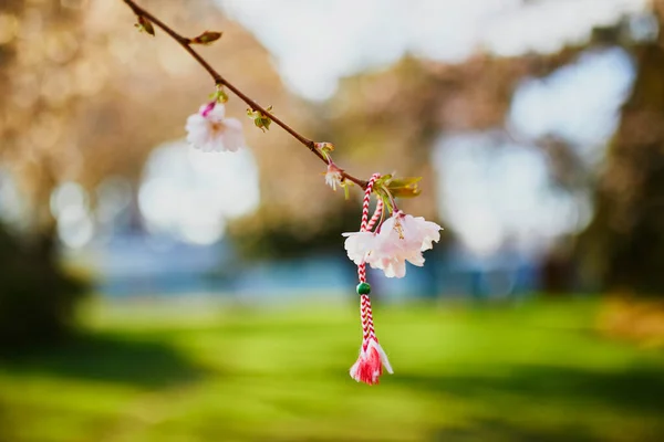 赤と白の Martisor 最初の春の日の伝統的なシンボルと開花桜の木の枝 — ストック写真