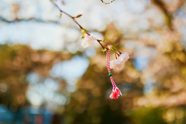 赤と白の Martisor 最初の春の日の伝統的なシンボルと開花桜の木の枝 — ストック写真