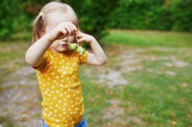 Küçük tatlı kız bir dalda fındık arıyor. Doğayı keşfeden çocuk. Çocuklar için açık hava yaz aktiviteleri