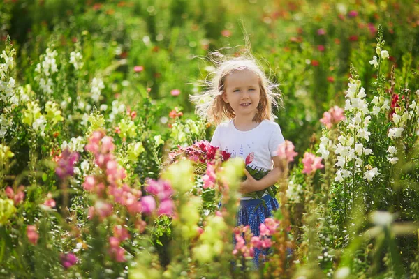 Rozkošná Dívka Sbírá Krásné Antirrhinum Květiny Farmě Venkovní Letní Aktivity — Stock fotografie