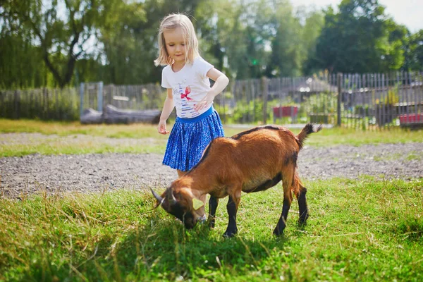 Menina Adorável Brincando Com Cabras Fazenda Criança Familiarizando Com Animais — Fotografia de Stock