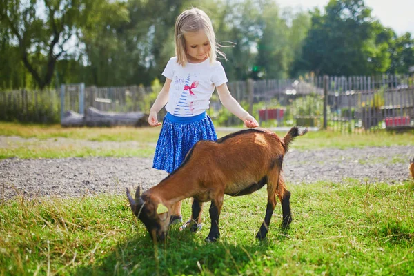 Menina Adorável Brincando Com Cabras Fazenda Criança Familiarizando Com Animais — Fotografia de Stock