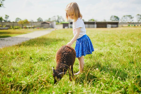 Чарівна Маленька Дівчинка Грає Кіз Овець Фермі Дитина Знайомиться Тваринами — стокове фото
